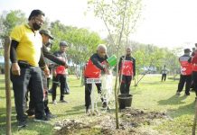 Penanaman pohon penghijauan pada peringatan hari jadi Kabupaten Asahan Ke-76