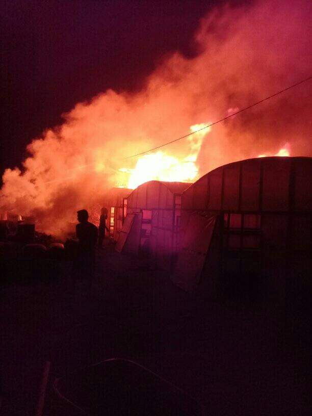 Gudang Kelapa di Inhil Hangus Terbakar Gudang Kelapa di Inhil Hangus Terbakar