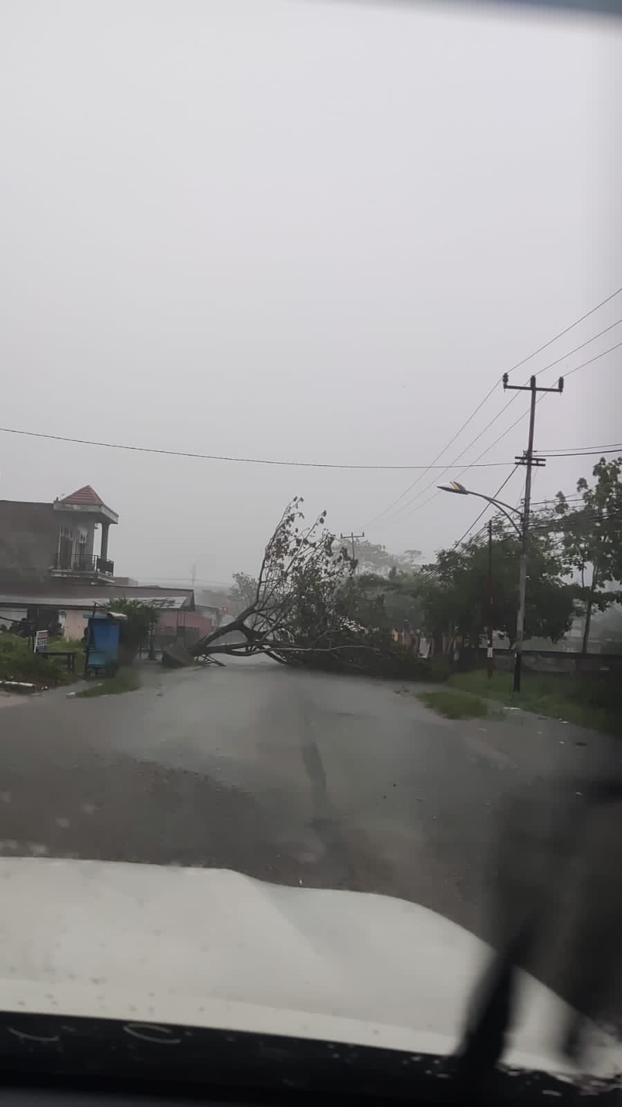 Angin Kencang Menumbangkan Pohon Besar di Depan Kantor DPRD Inhil Angin Kencang Menumbangkan Pohon Besar di Depan Kantor DPRD Inhil