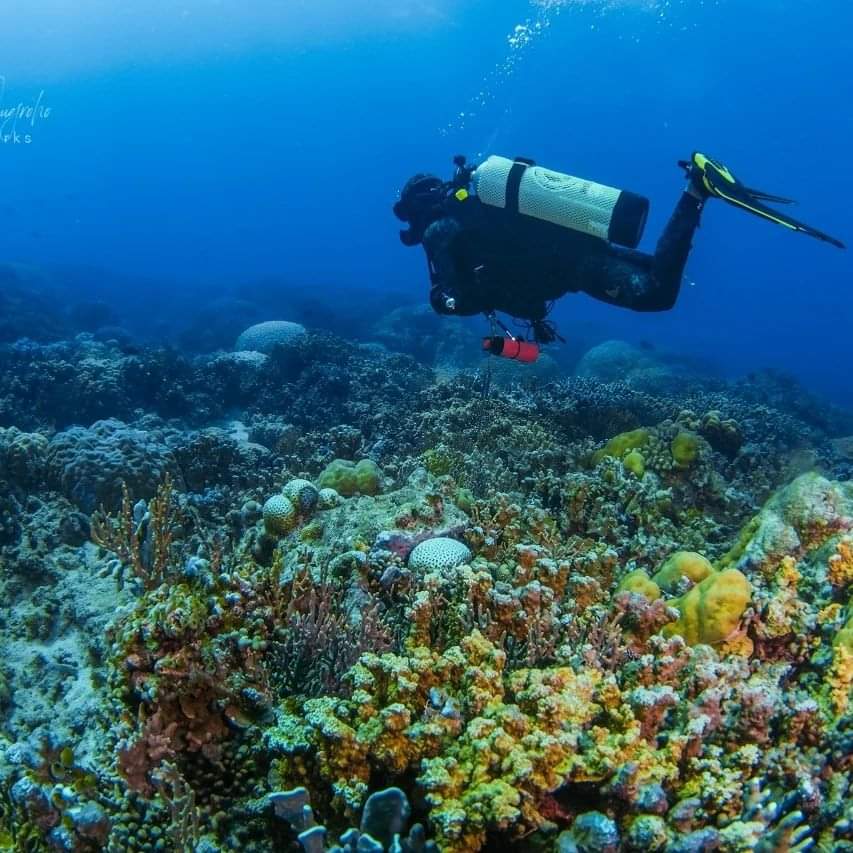 Panorama di laut Anambas