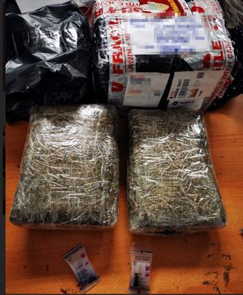 Kurang dari Sepekan Bea Cukai Batam Gagalkan Pengiriman Dua Paket Ganja