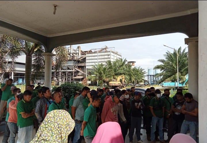 Puluhan Karyawan PT ASI PKS Nuntut Manajemen Perusahaan Segera Bayarkan Gaji Yang Tertunda