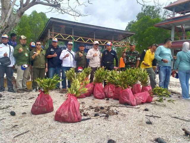 Pringatan Hari Mangrove Sedunia, Organisasi Green Indragiri Gelar Penanaman Mangrove Di Pantai Solop Pulau Cawan