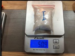 Luigi, Anjing Pelacak Bea Cukai Batam Berhasil Endus Paket Berisi Narkoba Jenis Sabu