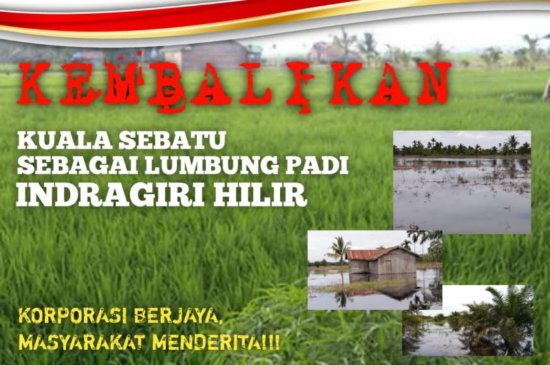 Seruan Slogan “Kembalikan Kuala Sebatu Sebagai Lumbung Padi Indragiri Hilir” Muncul di Dunia Maya