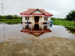 Kantor Desa Kuala Sebatu Kecamatan Batang Tuaka Kabupaten Indragiri Hilir terendam banjir.