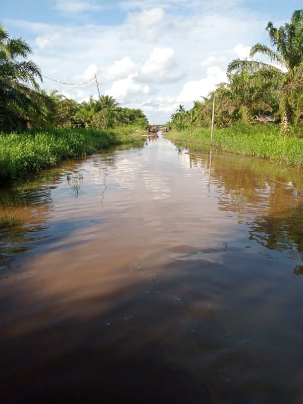 Sungai Batang Tuaka Meluap Air Sudah Rata dengan Rumah Warga, Ada Predator ?