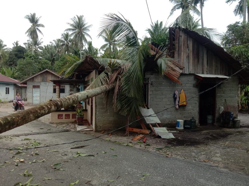 Akibat Angin Kencang Tadi Malam, Sebuah Rumah Di Sawang Ambruk Tertimpa Pohon Kelapa