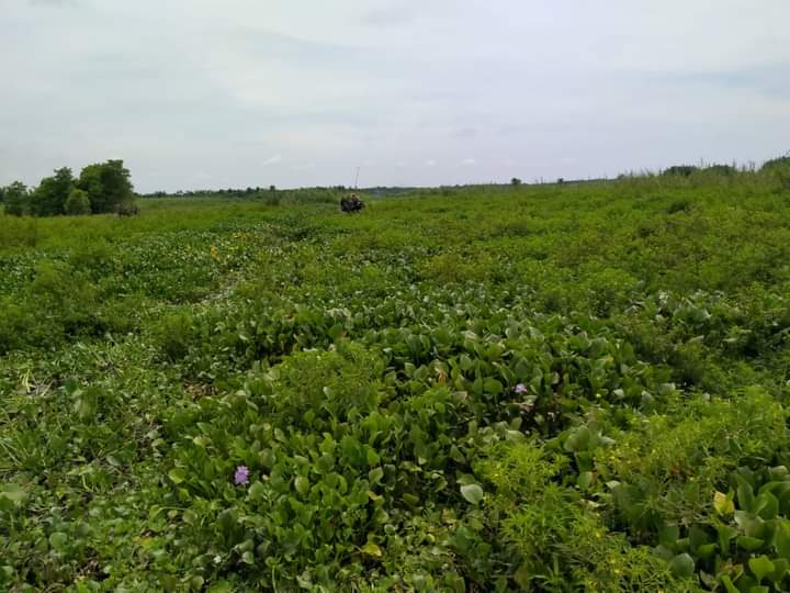 Terkendala Surat, Amfibi BWSS dari Pekanbaru Belum Bisa Meluncur ke Inhil 