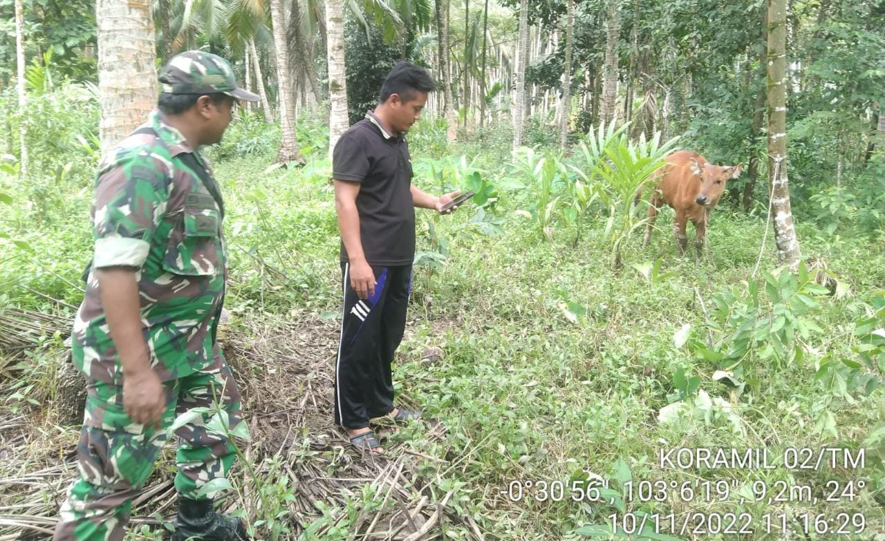 Jalin Komsos, Sertu Elia Rahman Ingatkan Para Perternak Sapi Jaga Hewan Peliharaan dengan Baik