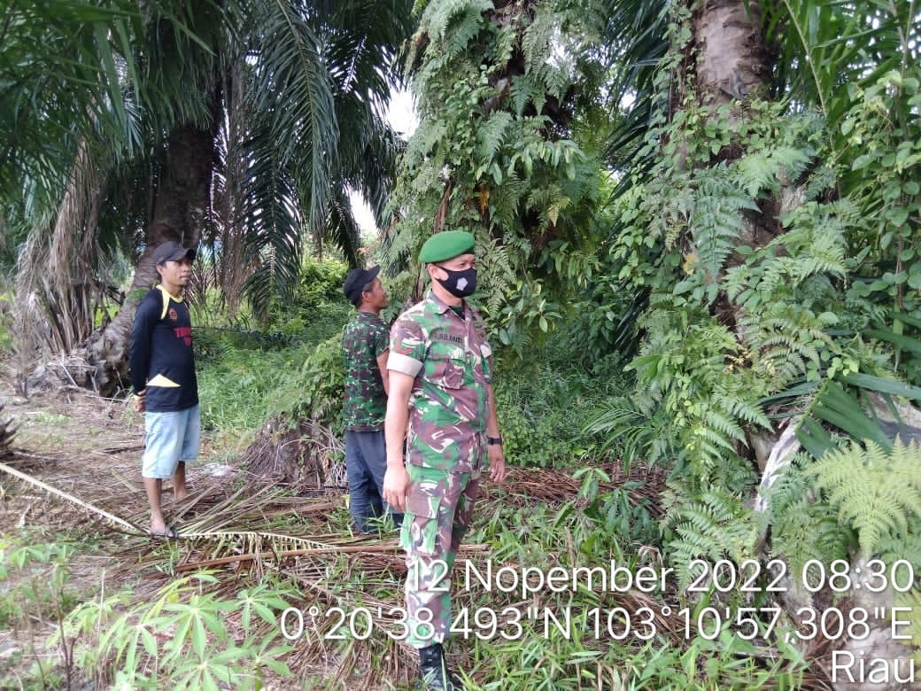 Babinsa Koramil 06/KTM, Kopda Haris Siregar Giat Patroli dan Sosialisasi Karhutla di Wilayah Binaan 