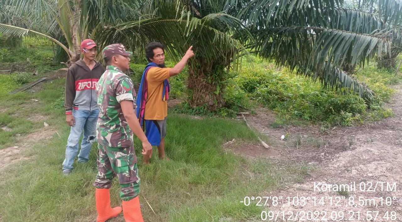 Babinsa Desa Rantau Panjang Laksanakan Patroli Bersama Warga Binaan Rangka Mencegah Karhutla 