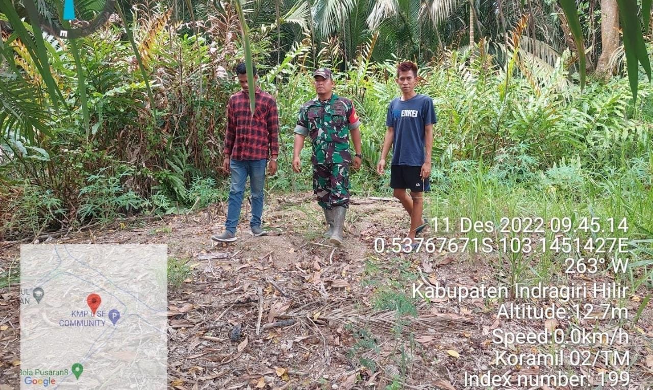 Babinsa Koramil 02/TM Serda M Pasaribu Giat Patroli Bersama Warga dalam Antisipasi Karhutla 