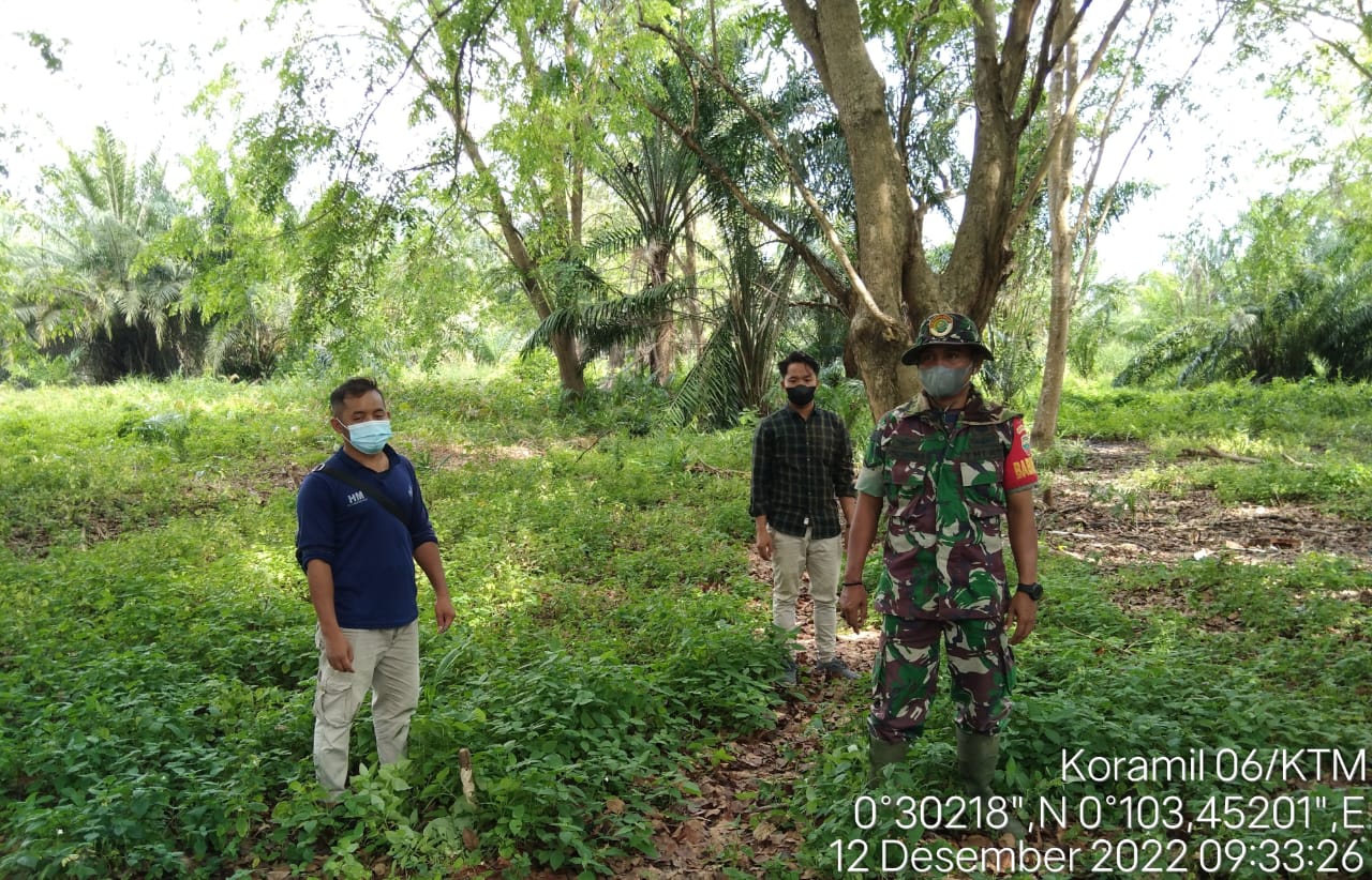 Babinsa Air Tawar Serda Lendi Bersama Warga Binaan Laksanakan Patroli Karhutla Bersama 