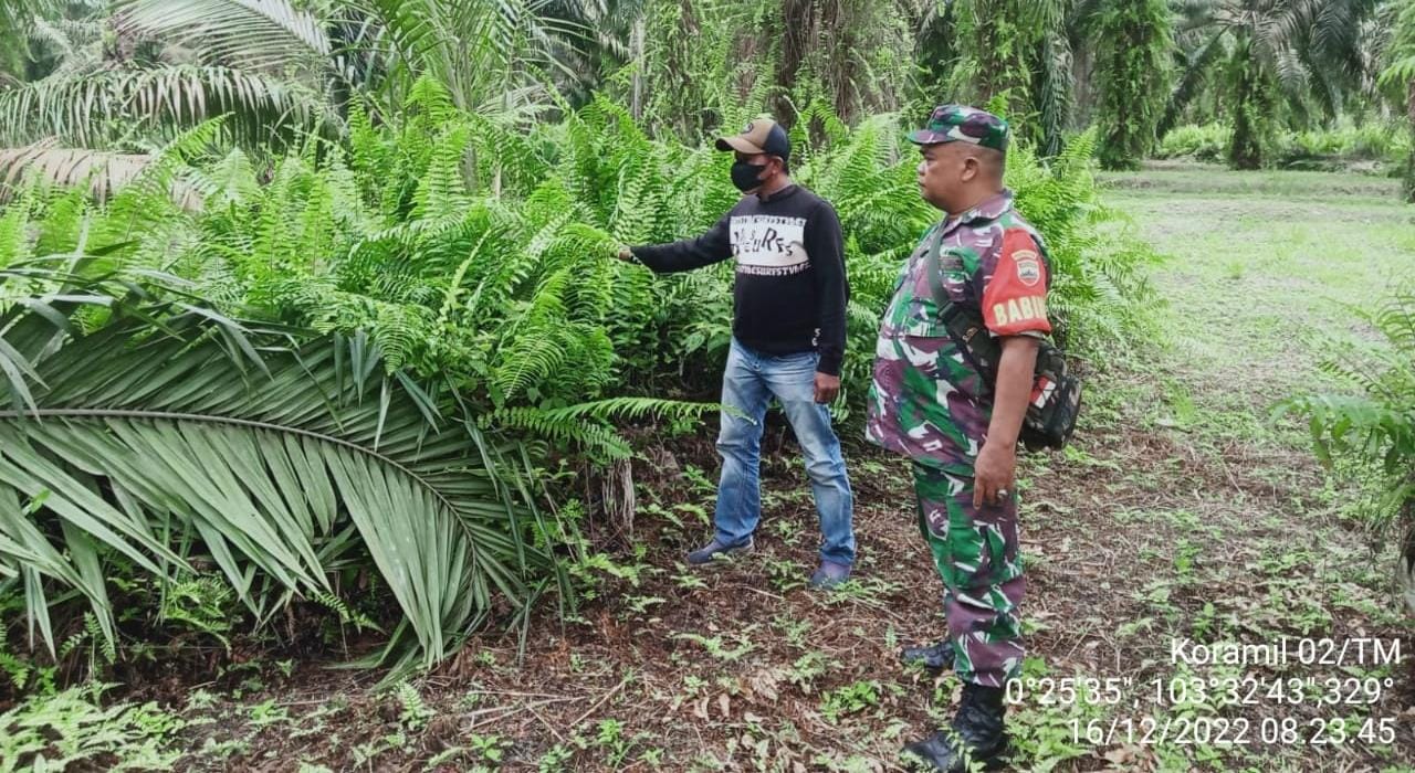 Serda Yuli Hendra Babinsa Desa Sungai Lokan Laksanakan Patroli Karhutla Bersama Warga Binaan 