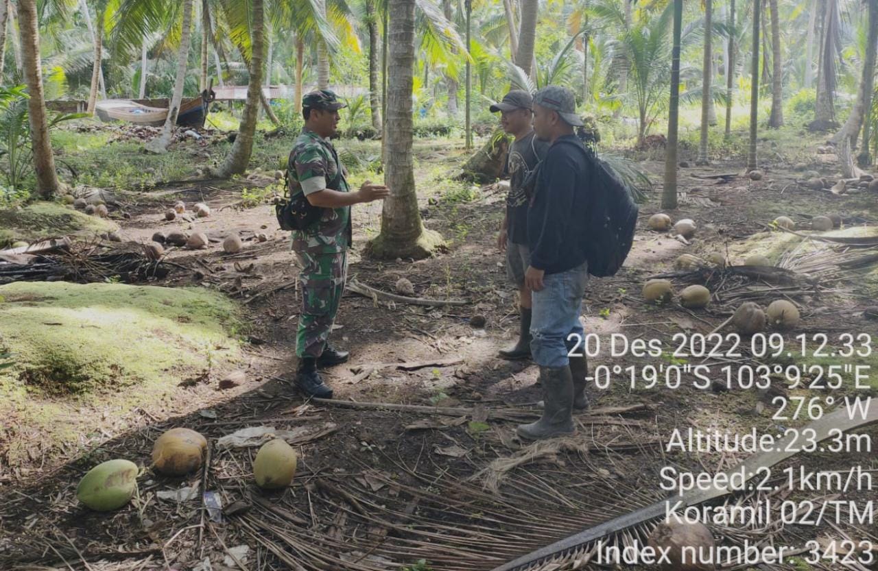 Babinsa Serma Boy Giat Patroli Sasar Perkebunan Kelapa Masyarakat yang Rawan Terjadinya Karhutla