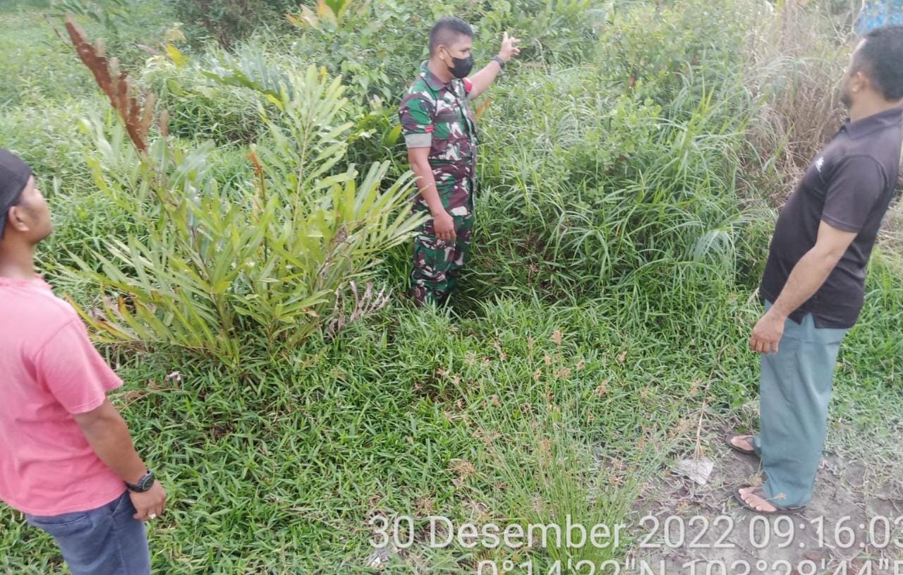 Cegah Karhutla, Babinsa Koramil 06/KTM Praka Raja Oloan Sihotang Laksanakan Patroli Rutin di Wilayah Binaan    