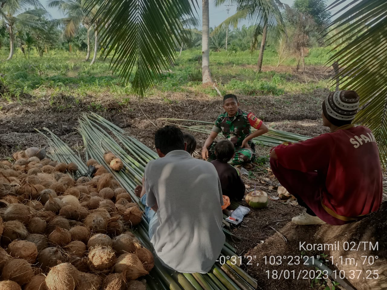 Kopda M Adrian Babinsa Desa Rantau Panjang Giat Komsos dengan Petani Kelapa 