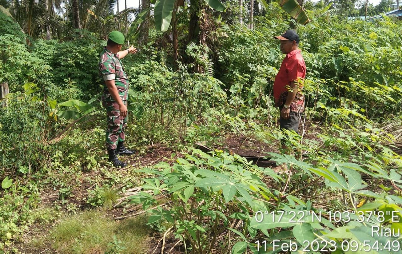 Antisipasi Kebakaran Lahan, Babinsa Praka Sihotang Laksanakan Giat Patroli Bersama Warga Binaan 