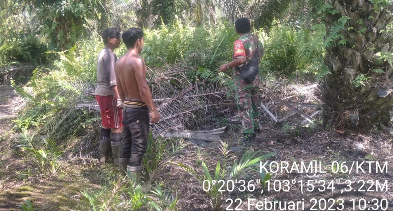 Rangka Pencegahan Kebakaran Lahan, Babinsa Kopda Ferry Sinaga Laksanakan Patroli dan Sosialisasi Karhutla di Wilayah Binaan 