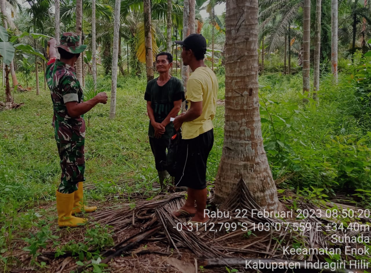 Babinsa Desa Suhada Serda Darno Laksanakan Patroli dan Sosialisasi Karhutla di Wilayah Binaan 