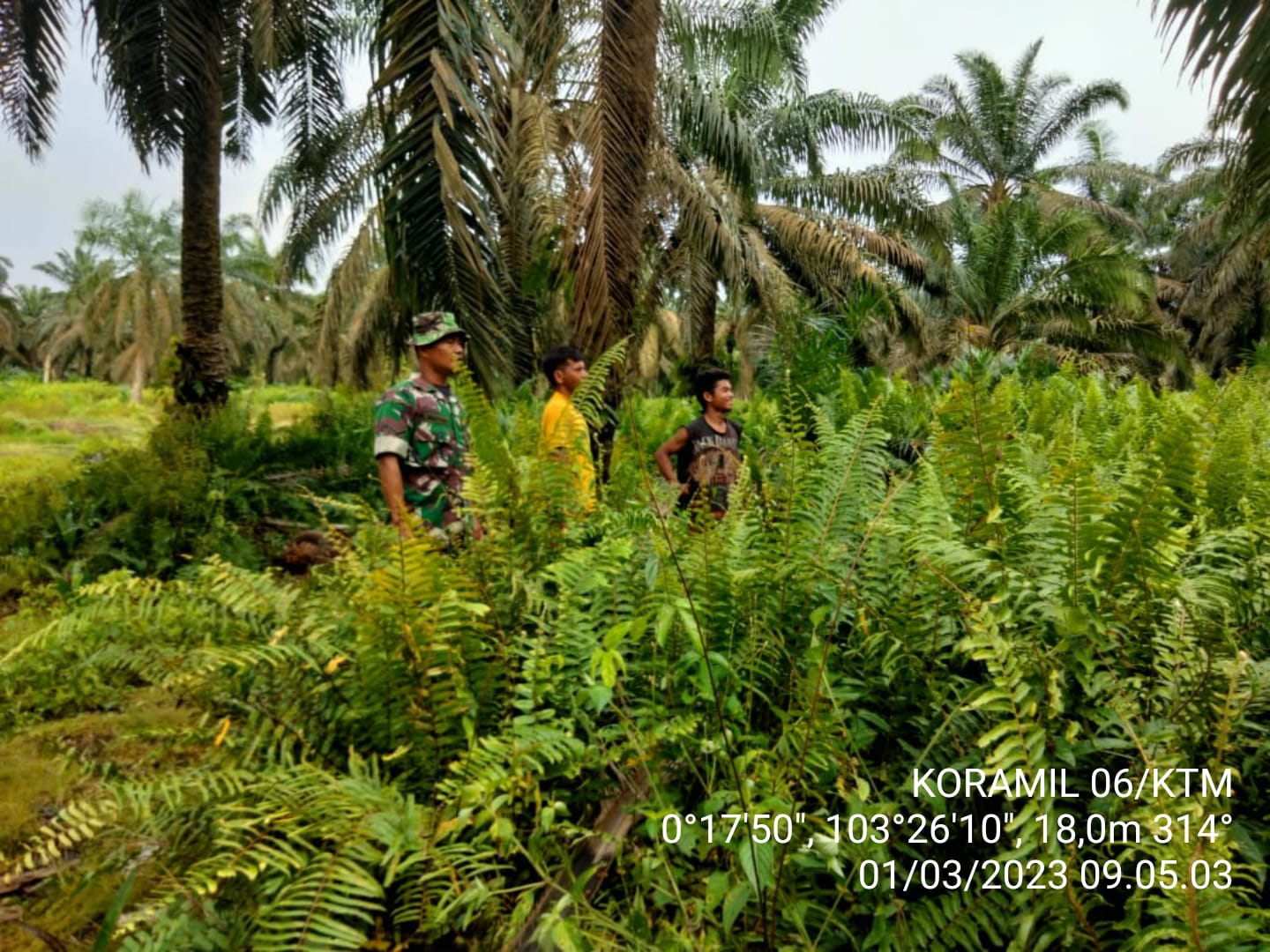 Pantau Wilayah Binaan, Babinsa Koramil 06/KTM Rutin Laksanakan Patroli dan Sosialisasi Karhutla 