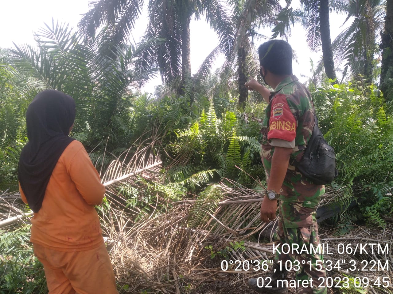 Antisipasi Karhutla, Babinsa kopda Ferry Sinaga Ingatan Warga Larangan Membakar Lahan 