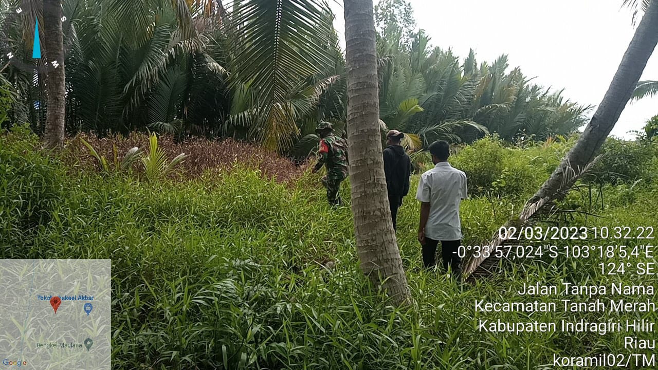 Babinsa Serda M Ade Laksanakan Patroli dan Sosialisasi Karhutla di Wilayah Binaan 