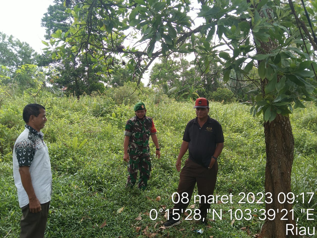 Babinsa Koramil 06/KTM Laksanakan Patroli dan Sosialisasi Karhutla di Kelurahan Amal Bakti Babinsa Koramil 06/KTM Laksanakan Patroli dan Sosialisasi Karhutla di Kelurahan Amal Bakti