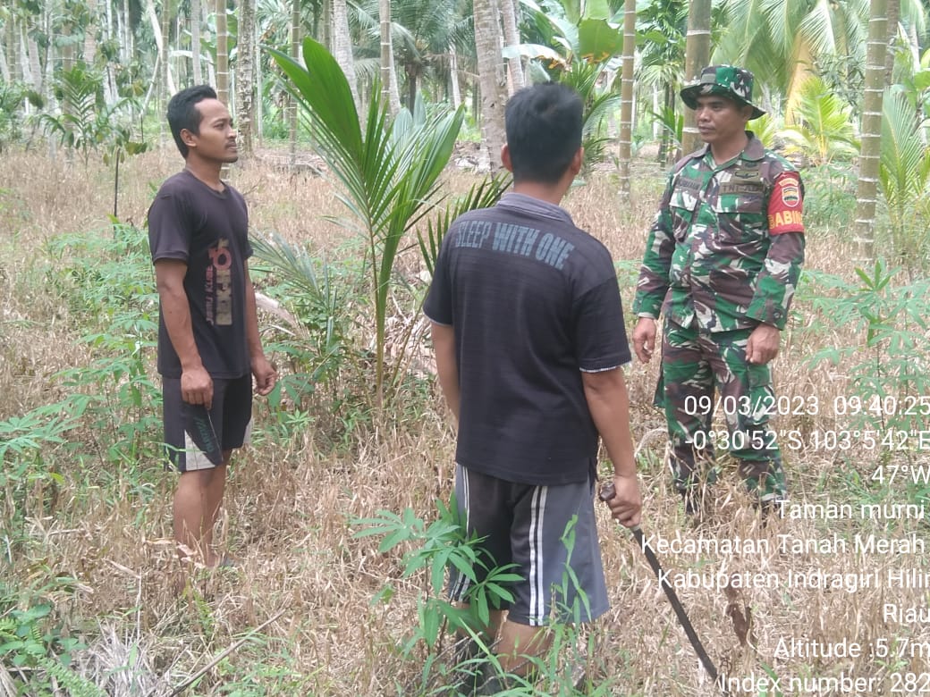 Sertu HM Sibarani Babinsa Desa Pengalihan Bersama MPA Laksanakan Patroli dan Sosialisasi Karhutla