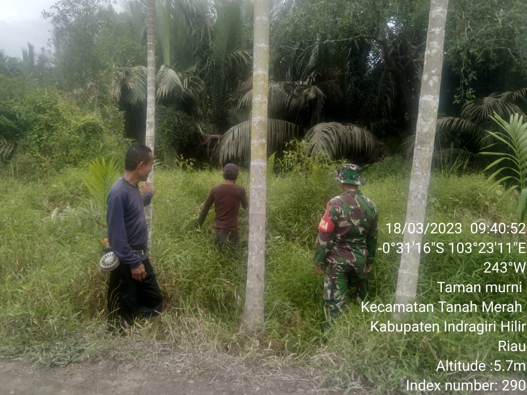 Terus Berlanjut, Babinsa Desa Pengalihan Sertu HM Sibarani Laksanakan Patroli dan Sosialisasi Karhutla 