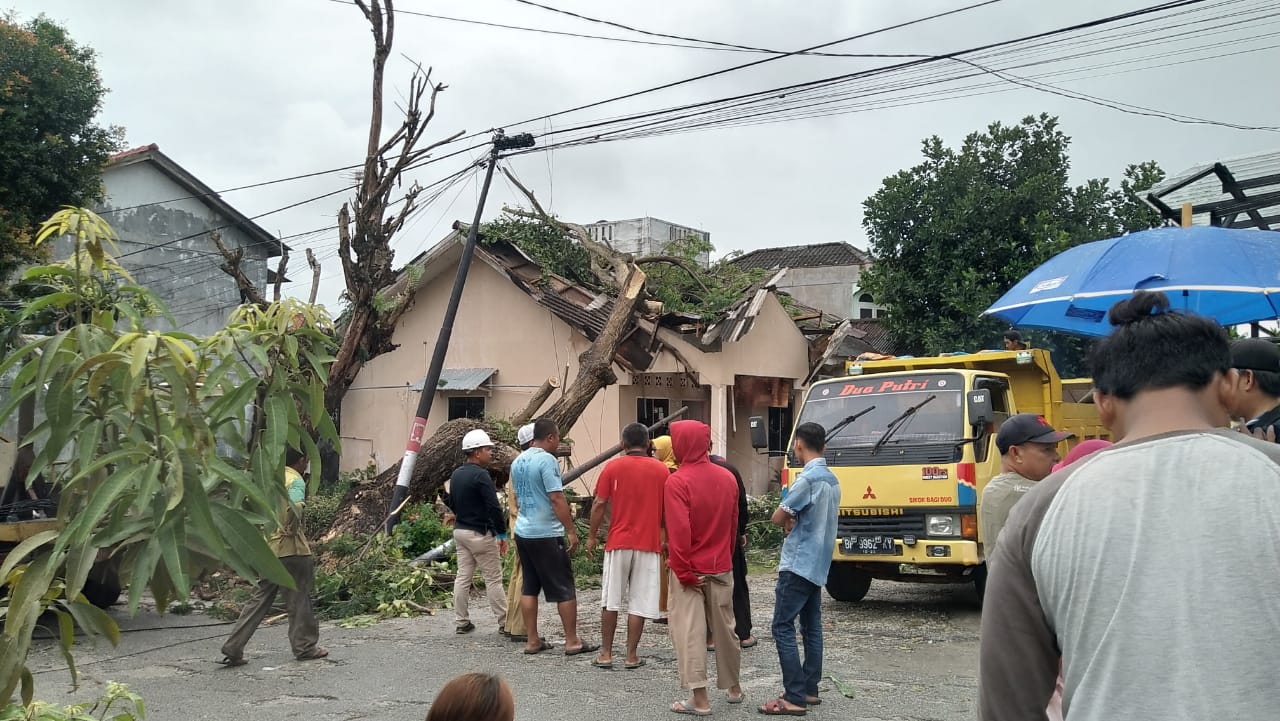 Pohon Tumbang Hantam Rumah Warga di TMK