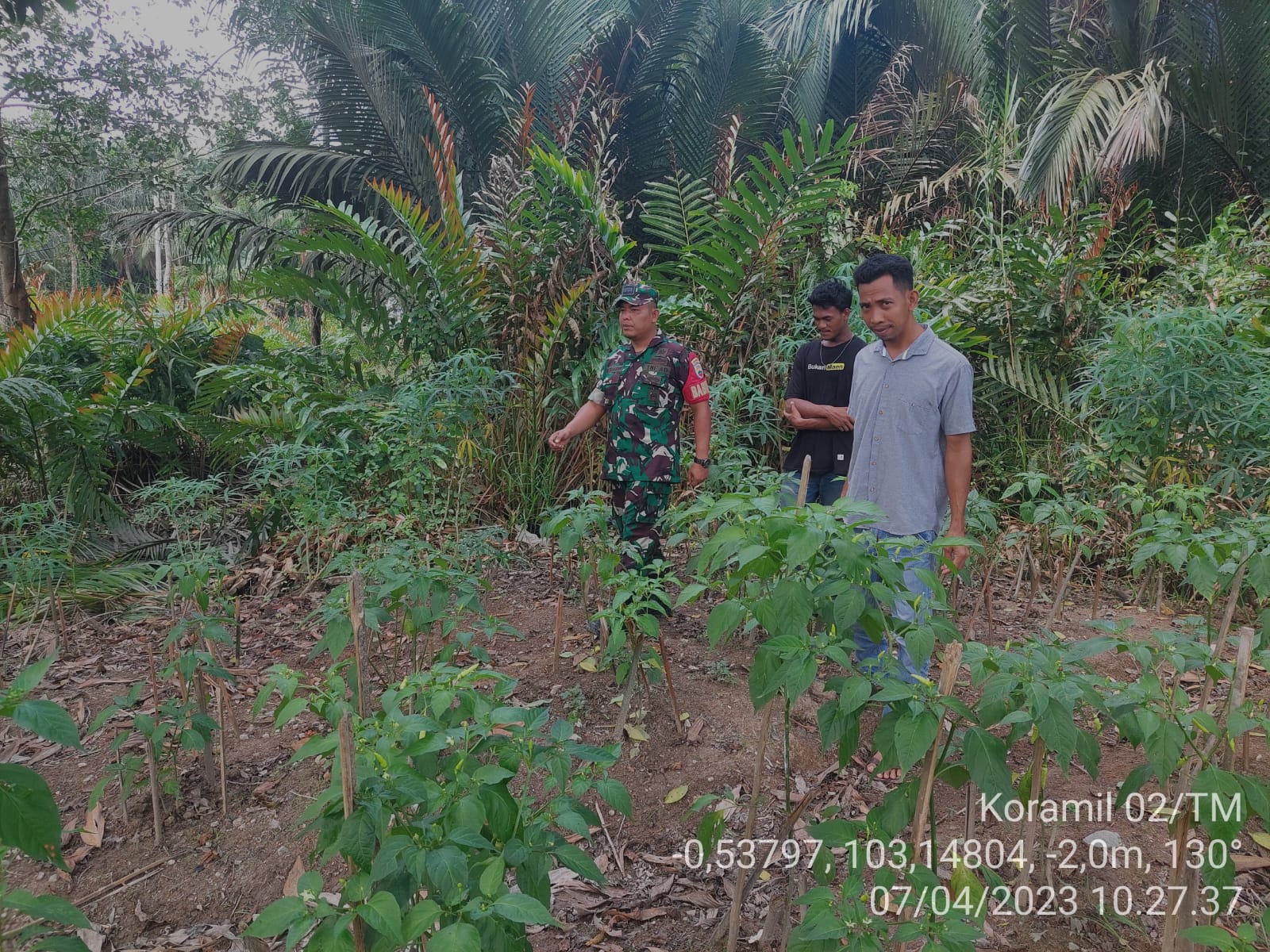 Hindari Karhutla, Anggota Koramil 02/TM Kodim 0314/Inhil Rutin Patroli dan Sosialisasi