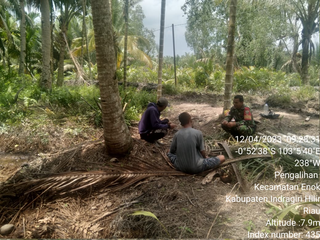 Babinsa Sertu HM Sibarani Laksanakan Komsos dengan Para Petani Kelapa 