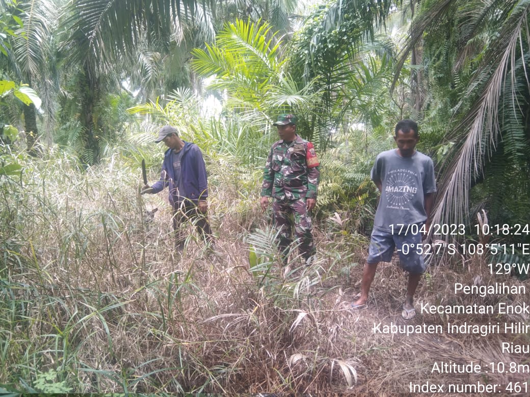 Sertu HM Sibarani Babinsa Koramil 02/TM Laksanakan Patroli dan Sosialisasi Karhutla di Wilayah Binaan 