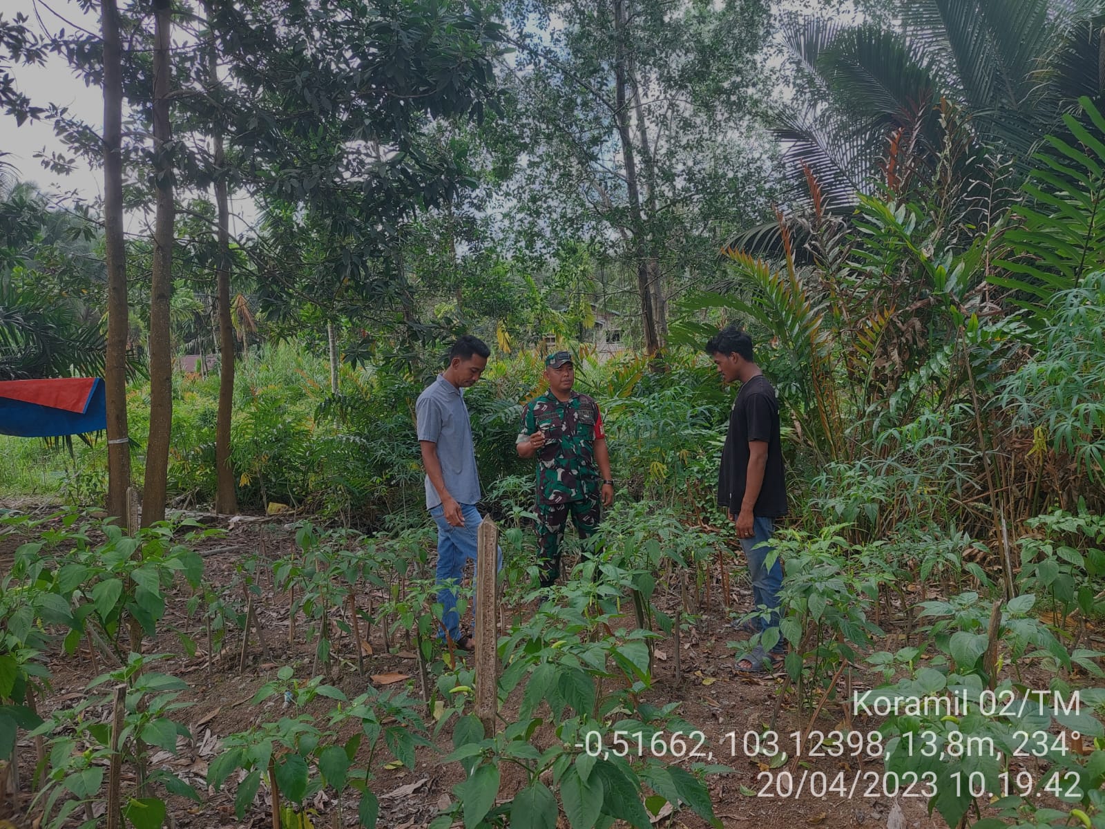 Serda M Pasaribu Babinsa Koramil 02/TM Giat Patroli Antisipasi Karhutla di Wilayah Binaan 