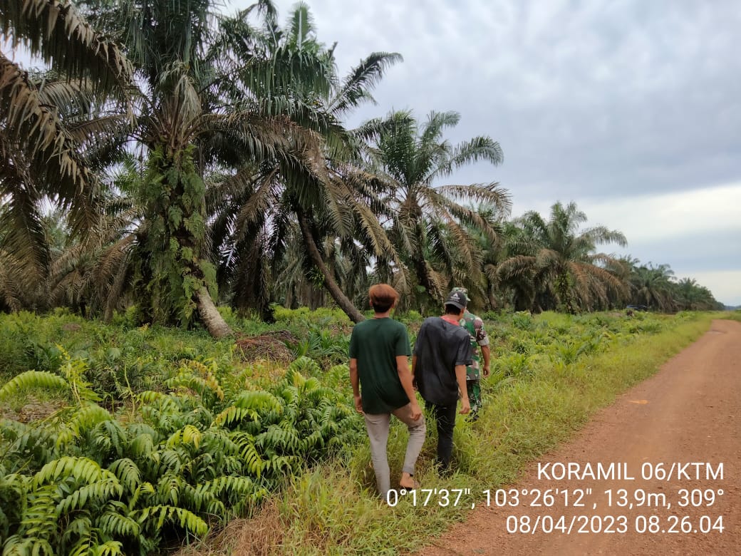 Sasar Perkebunan Kelapa Sawit, Babinsa Rudi Hartono Gencarkan Patroli dan Sosialisasi Karhutla 