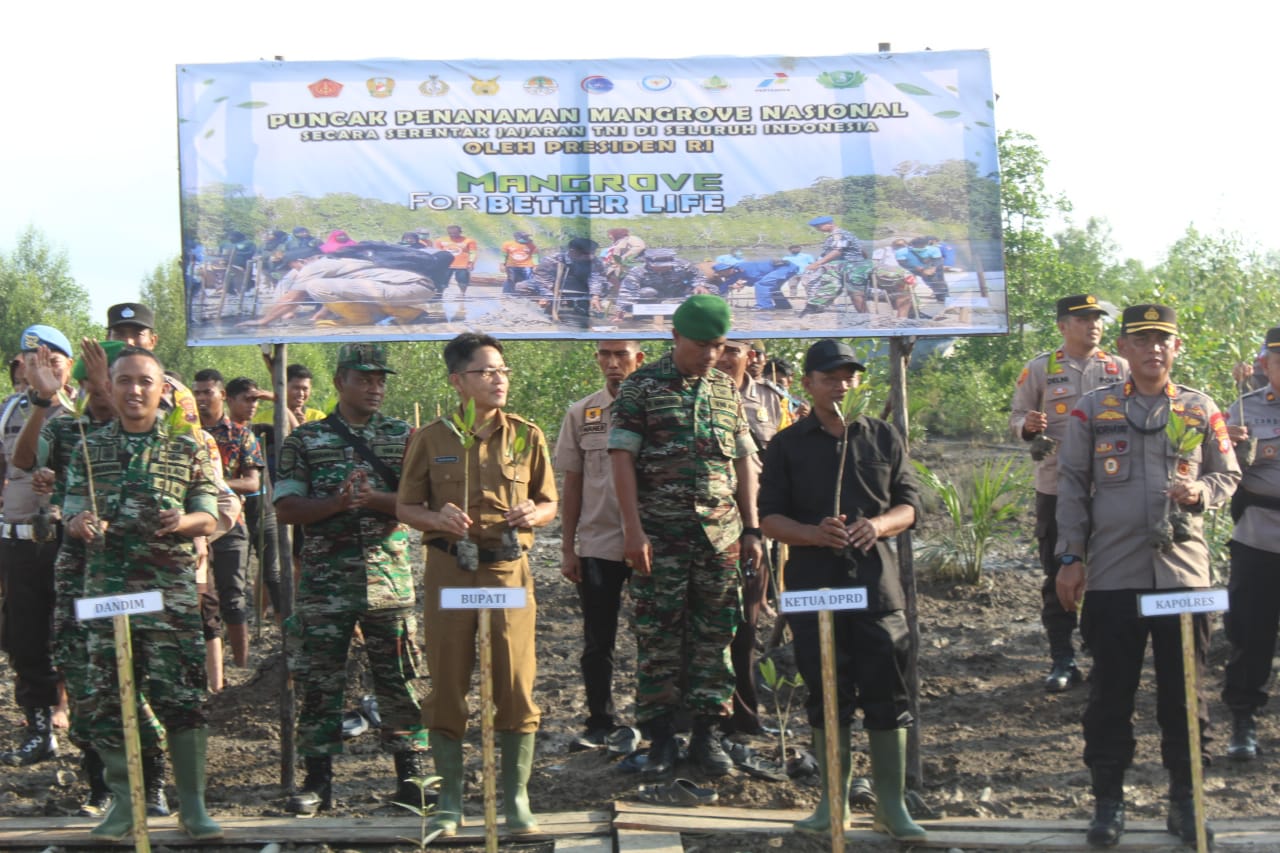 Komandan Kodim 0314/Inhil Ikuti Vidcon Launching Penanaman Mangrove Bersama Presiden RI 