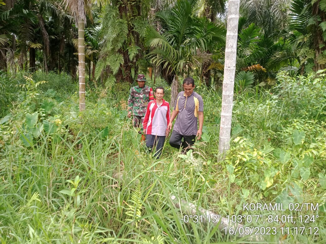 Babinsa Desa Suhada Gencarkan Patroli Antisipasi Karhutla di Daerah Paling Rawan