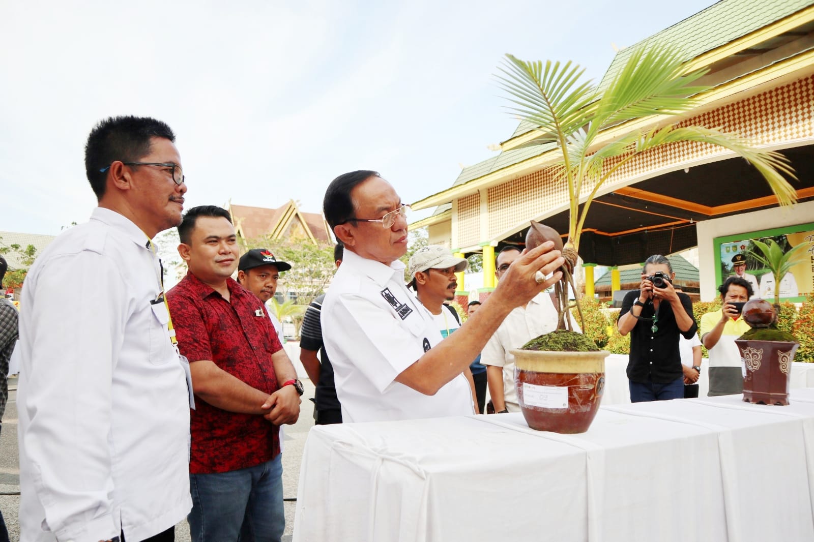 Bupati Inhil HM Wardan, Meninjau Persiapan Lomba Bonsai Kelapa