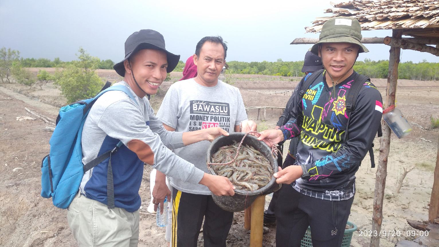 Panen Kedua Tambak Udang Vaname Desa Ngal Di Ekspor Ke Malaysia