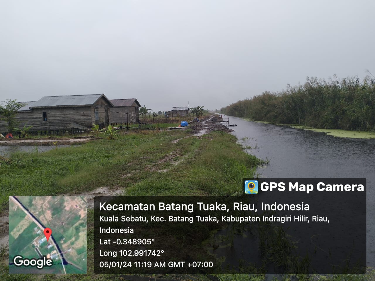 Banjir Kembali Meluap, Desa Kuala Sebatu Terancam Gagal Tanam Padi 