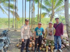 Masa Kampanye Pilkada Inhil, Bripka Sonny Pratama Intensifkan Cooling System