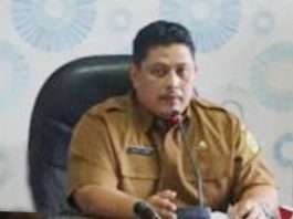 Kepala Dinas PMD Kabupaten Karimun, Jackie Tewart Touw,S.STP.,M.IP