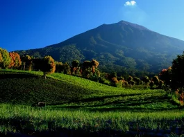 Taman Nasional Kerinci Seblat