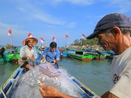 PT Timah Tingkatkan Kesejahteraan Nelayan di Kundur, Sebagai Inisiatif Melalui Pemberdayaan Kelompok Hingga Jaminan Perlindungan Sosial