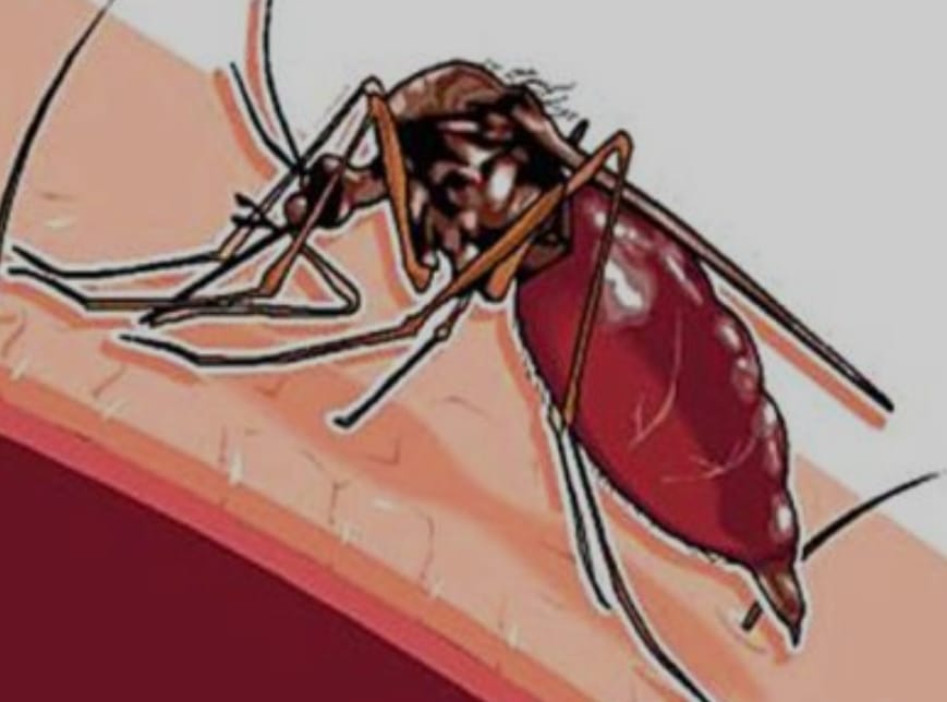 Lonjakan Kasus DBD di Indragiri Hilir: Sungai Guntung Jadi Titik Terparah