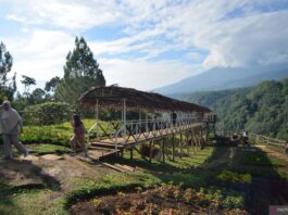 kapan waktu terbaik liburan ke Sumatera