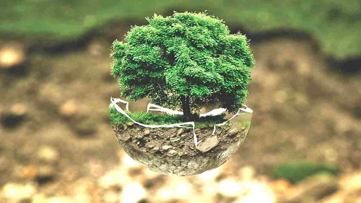 mengurangi jejak karbon pribadi