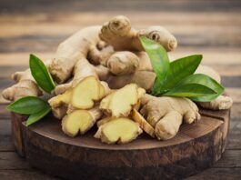 obat alami menurunkan tekanan darah